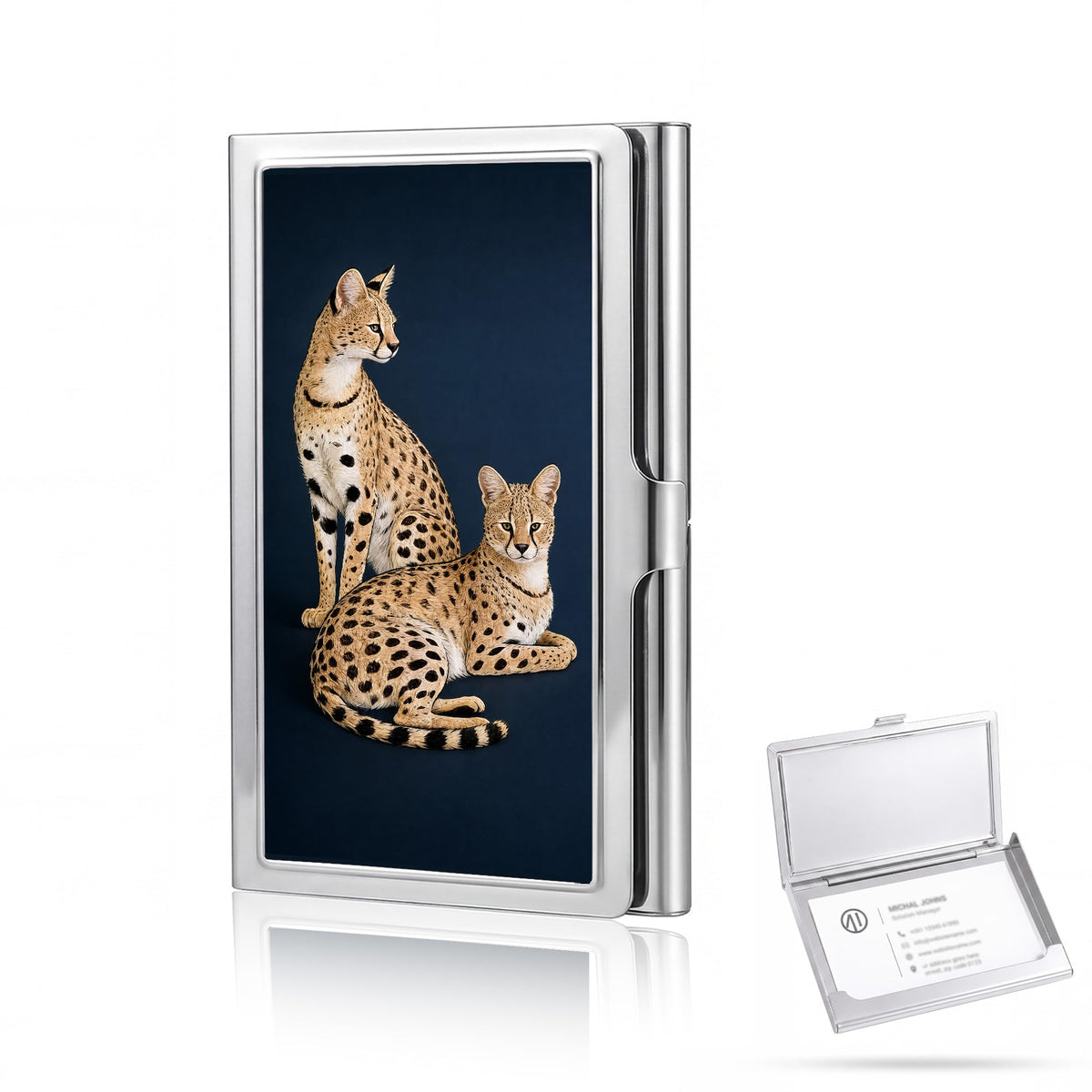 Vintage Metal Business Card Case, Slim Business Credit Card Holder Wallet for Women & Men (#A)